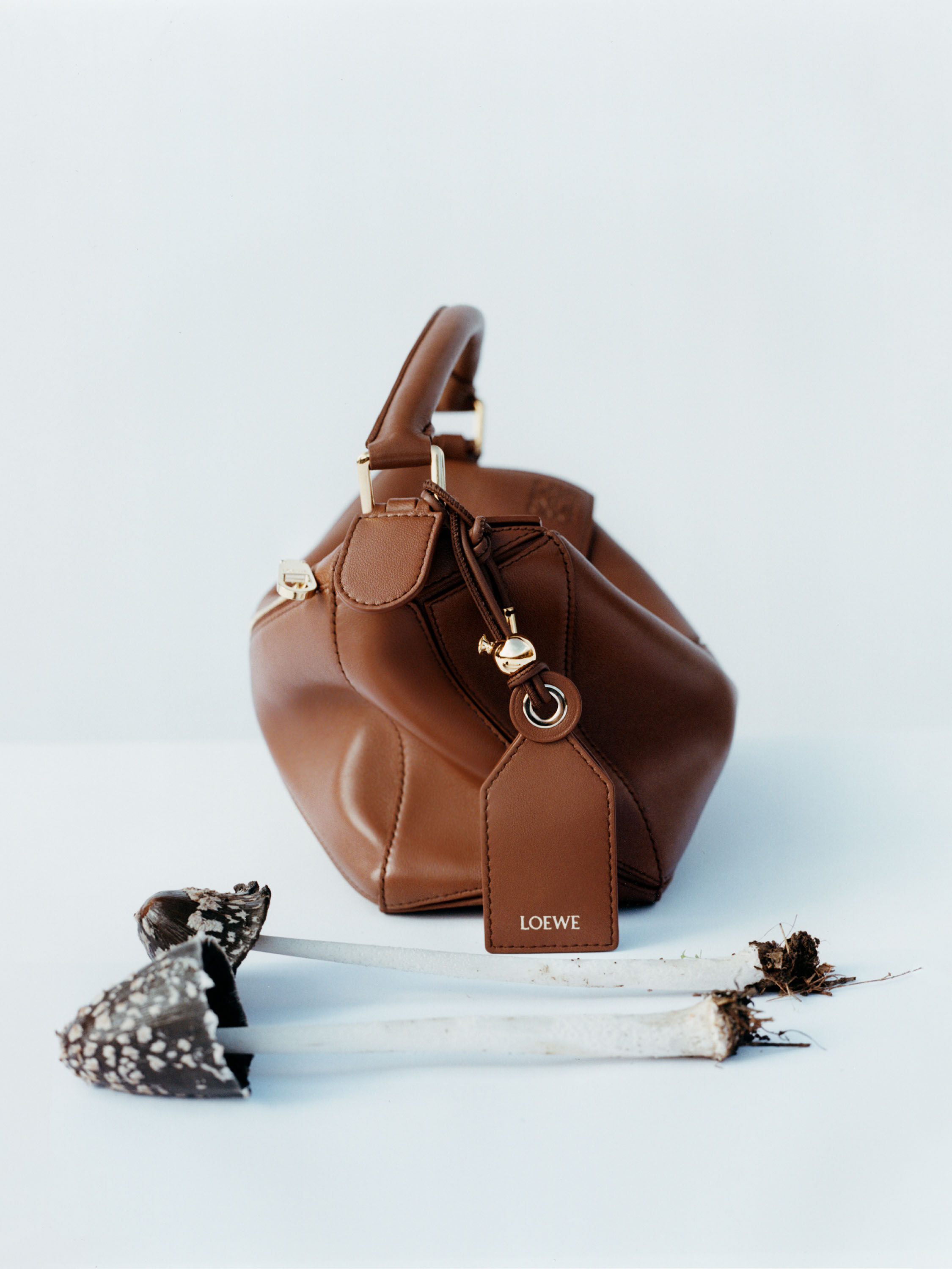 Loeweバッグ とアクセサリーのセット
